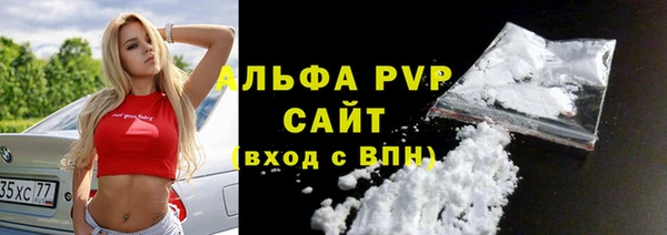 индика Пересвет