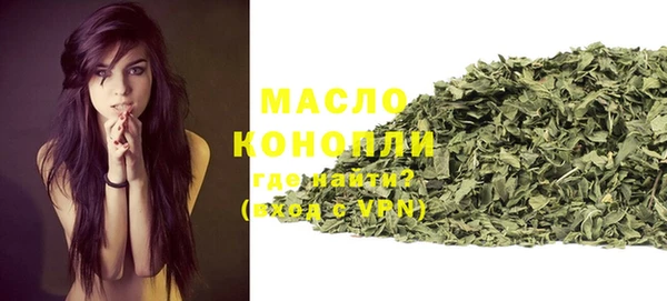 индика Пересвет