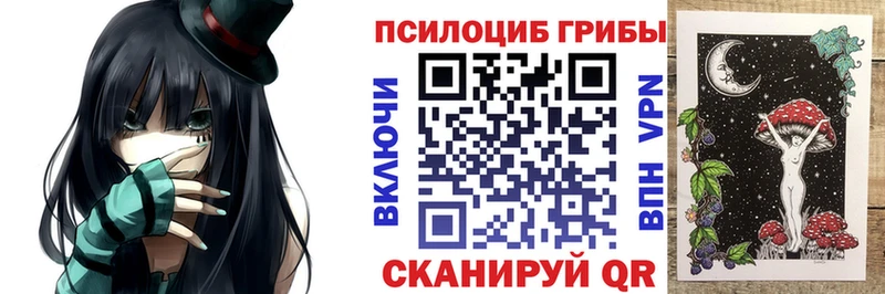 Галлюциногенные грибы Psilocybine cubensis наркошоп гидра как войти Людиново